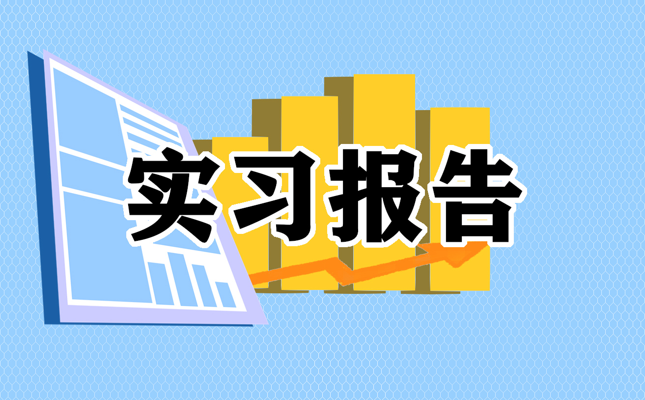 2022最新财务顶岗实习报告