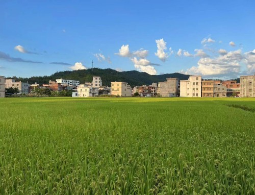 企业个人辞职信简洁6篇范文