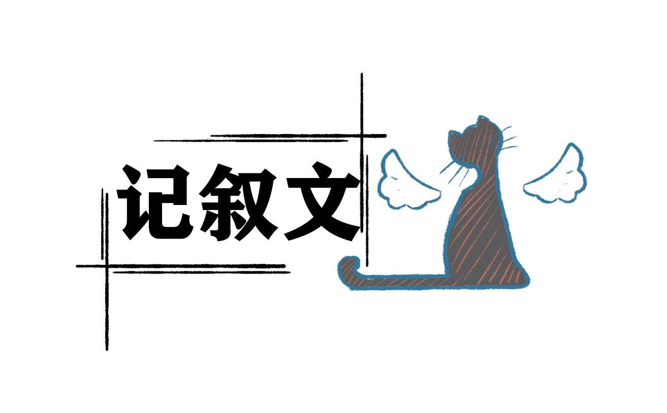 走进青春的记叙文