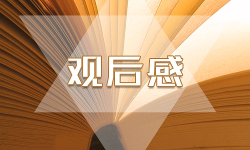 最新驯龙高手个人观后感700字5篇
