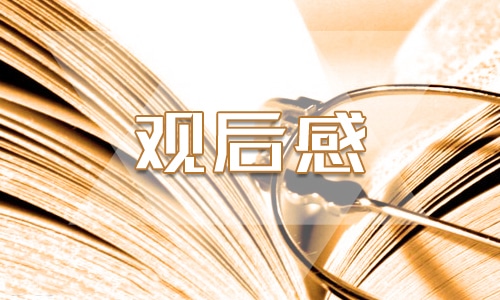 观看山海情乡村党员干部感悟心得5篇