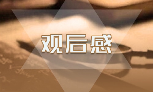 为了和平纪录片800字感想5篇