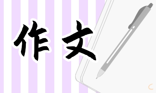 学生作文神奇的探险之旅